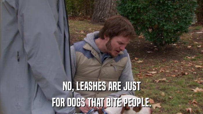NO, LEASHES ARE JUST FOR DOGS THAT BITE PEOPLE. 