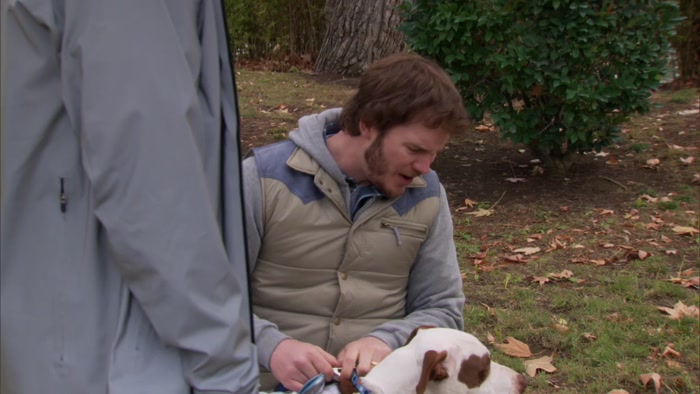 NO, LEASHES ARE JUST FOR DOGS THAT BITE PEOPLE. 