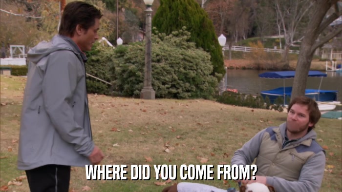 WHERE DID YOU COME FROM?  