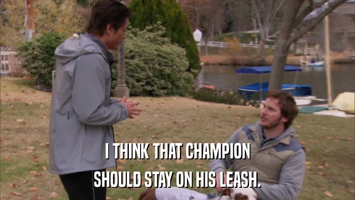 I THINK THAT CHAMPION SHOULD STAY ON HIS LEASH. 