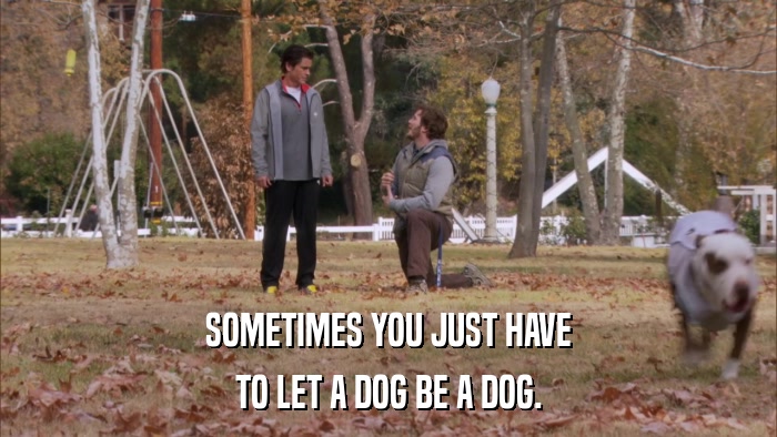 SOMETIMES YOU JUST HAVE TO LET A DOG BE A DOG. 