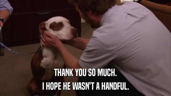 THANK YOU SO MUCH. I HOPE HE WASN'T A HANDFUL. 