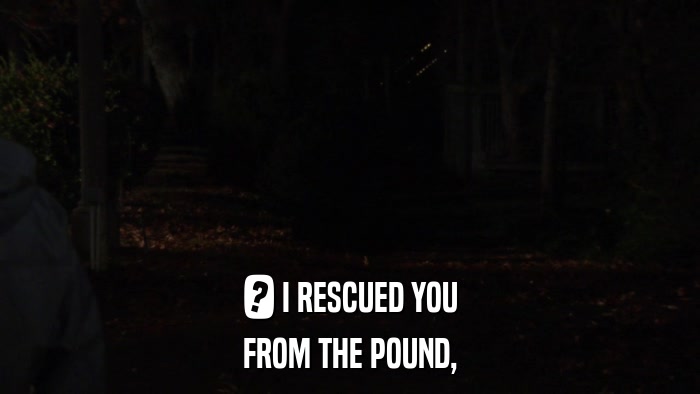 ? I RESCUED YOU FROM THE POUND, 