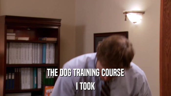 THE DOG TRAINING COURSE I TOOK 
