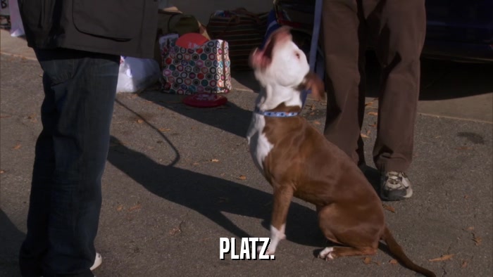 PLATZ.  