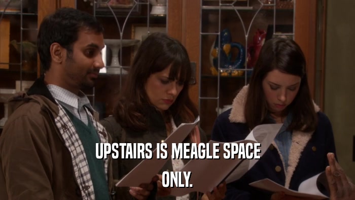 UPSTAIRS IS MEAGLE SPACE ONLY. 