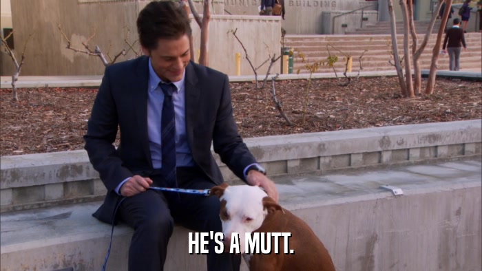 HE'S A MUTT.  