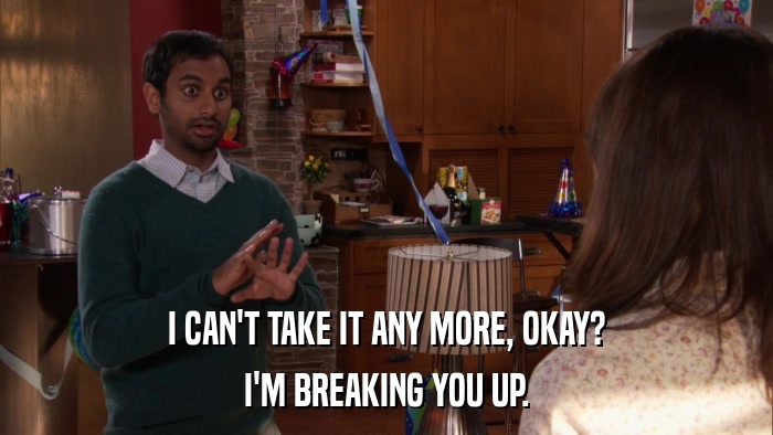 I CAN'T TAKE IT ANY MORE, OKAY? I'M BREAKING YOU UP. 
