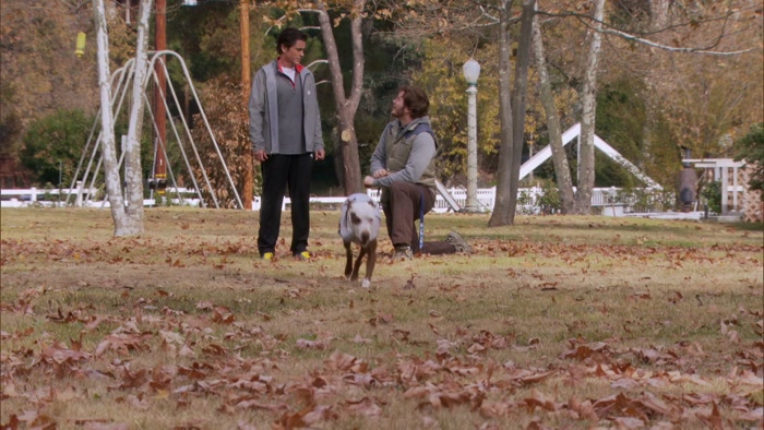 SOMETIMES YOU JUST HAVE TO LET A DOG BE A DOG. 