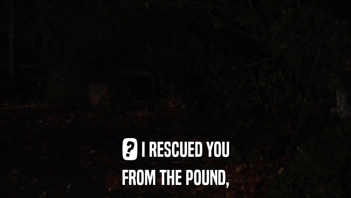 ? I RESCUED YOU FROM THE POUND, 