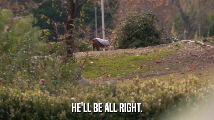 HE'LL BE ALL RIGHT.  
