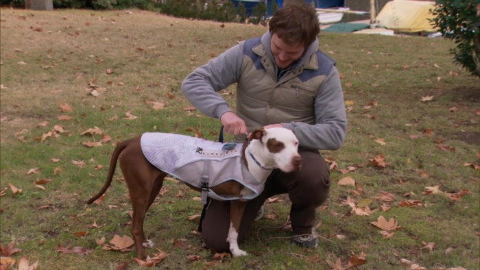 - ANDY. - WHAT THE [BLEEP], DUDE? 