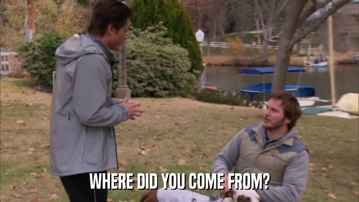 WHERE DID YOU COME FROM?  