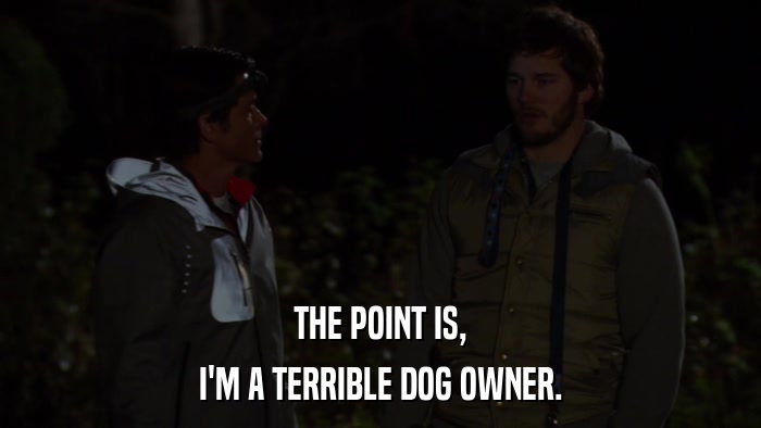 THE POINT IS, I'M A TERRIBLE DOG OWNER. 