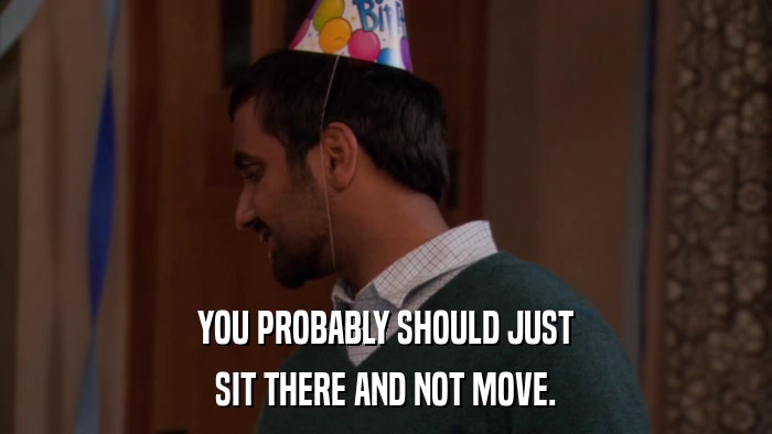 YOU PROBABLY SHOULD JUST SIT THERE AND NOT MOVE. 