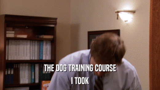 THE DOG TRAINING COURSE I TOOK 