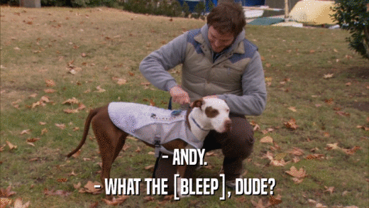 - ANDY. - WHAT THE [BLEEP], DUDE? 