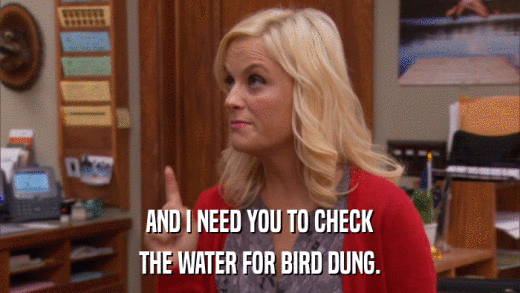 AND I NEED YOU TO CHECK THE WATER FOR BIRD DUNG. 