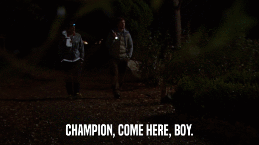 CHAMPION, COME HERE, BOY.  