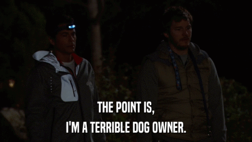 THE POINT IS, I'M A TERRIBLE DOG OWNER. 