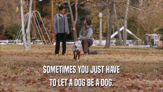 SOMETIMES YOU JUST HAVE TO LET A DOG BE A DOG. 
