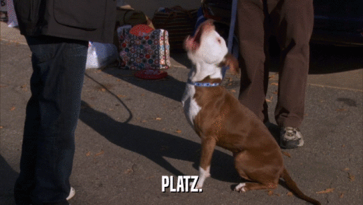 PLATZ.  