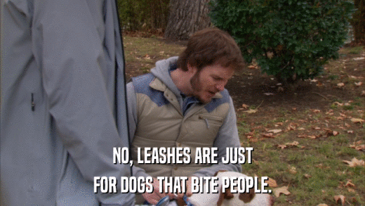 NO, LEASHES ARE JUST FOR DOGS THAT BITE PEOPLE. 