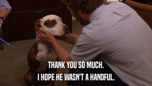 THANK YOU SO MUCH. I HOPE HE WASN'T A HANDFUL. 