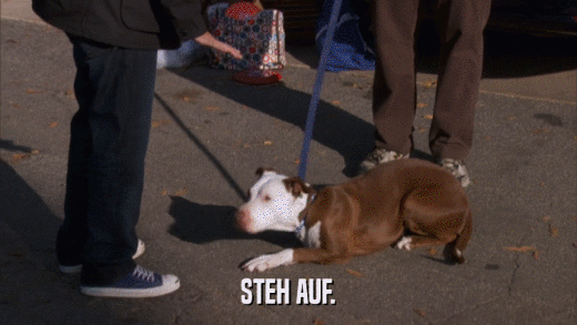 STEH AUF.  