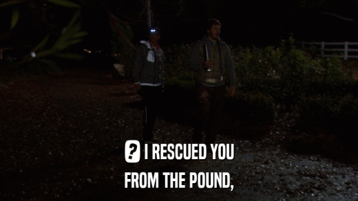 ? I RESCUED YOU FROM THE POUND, 