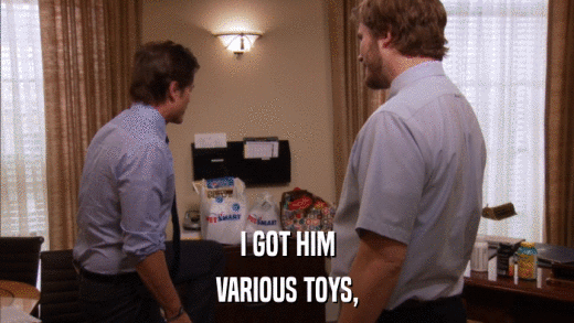 I GOT HIM VARIOUS TOYS, 