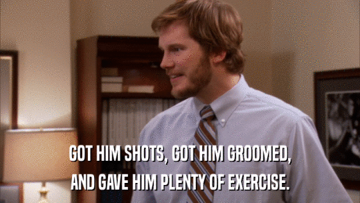 GOT HIM SHOTS, GOT HIM GROOMED, AND GAVE HIM PLENTY OF EXERCISE. 