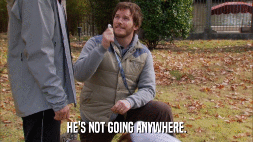 HE'S NOT GOING ANYWHERE.  