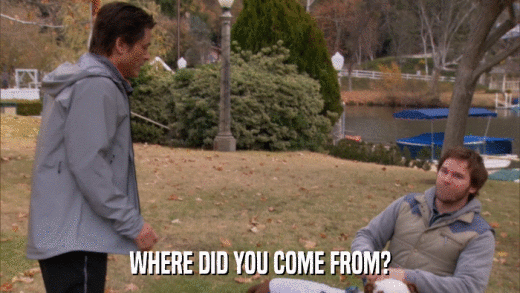 WHERE DID YOU COME FROM?  