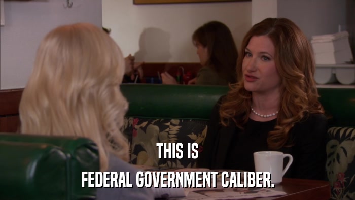 THIS IS FEDERAL GOVERNMENT CALIBER. 