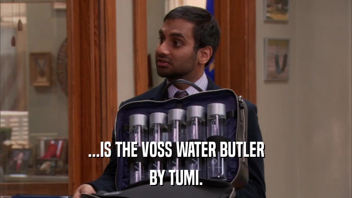 ...IS THE VOSS WATER BUTLER BY TUMI. 