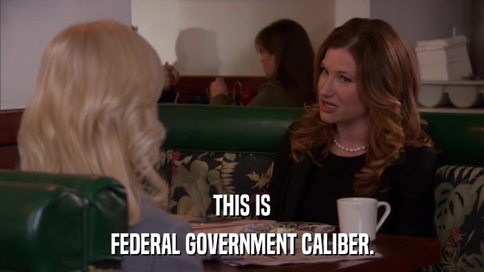 THIS IS FEDERAL GOVERNMENT CALIBER. 