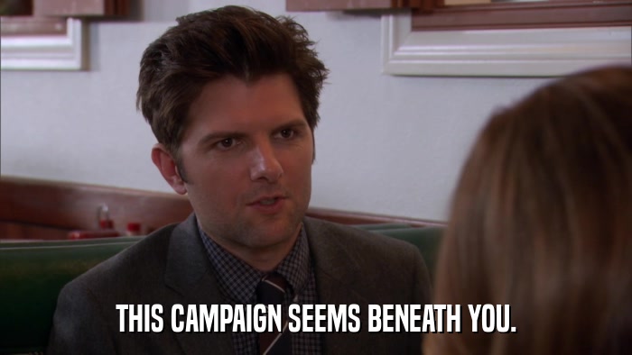 THIS CAMPAIGN SEEMS BENEATH YOU.  