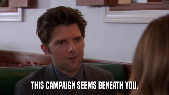 THIS CAMPAIGN SEEMS BENEATH YOU.  