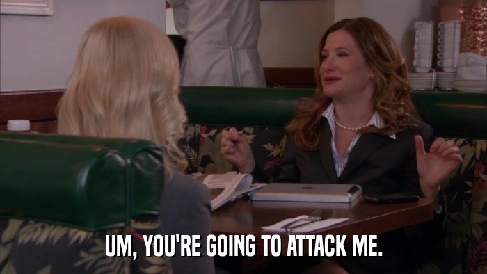 UM, YOU'RE GOING TO ATTACK ME.  