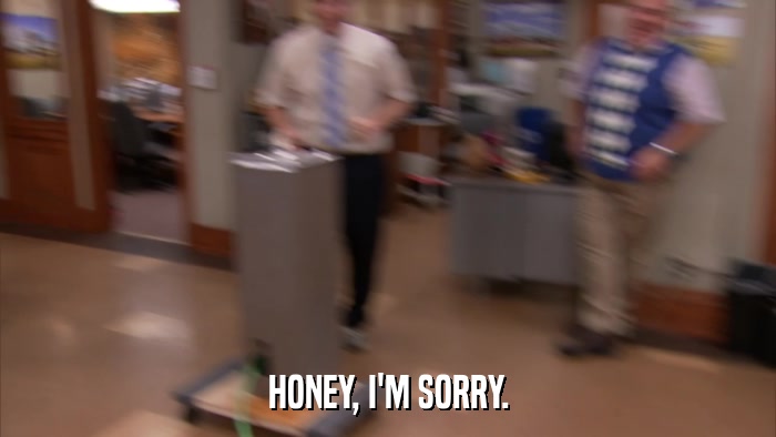 HONEY, I'M SORRY.  