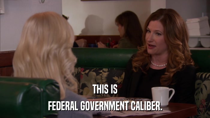 THIS IS FEDERAL GOVERNMENT CALIBER. 