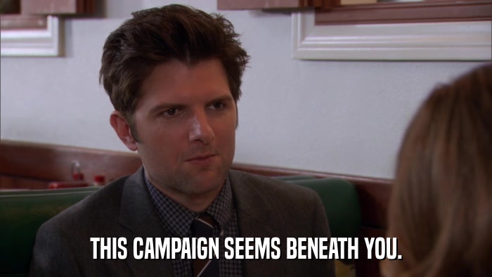 THIS CAMPAIGN SEEMS BENEATH YOU.  