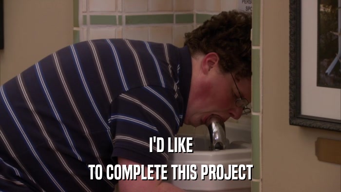 I'D LIKE TO COMPLETE THIS PROJECT 