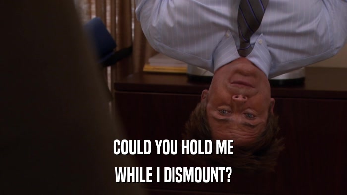 COULD YOU HOLD ME WHILE I DISMOUNT? 