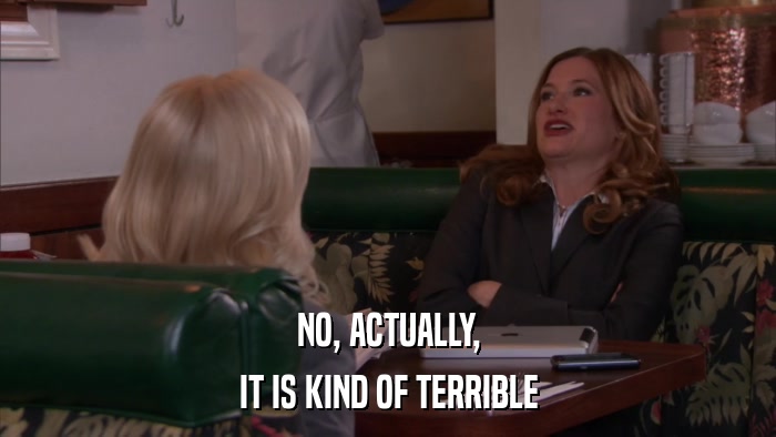NO, ACTUALLY, IT IS KIND OF TERRIBLE 