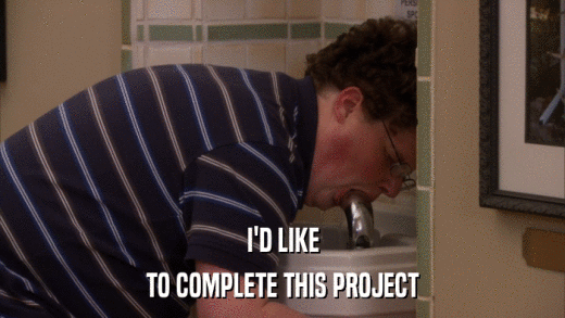 I'D LIKE TO COMPLETE THIS PROJECT 