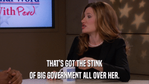 THAT'S GOT THE STINK OF BIG GOVERNMENT ALL OVER HER. 