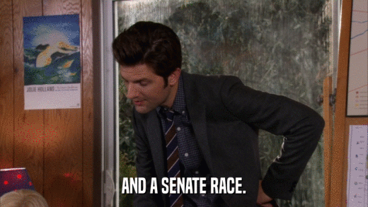 AND A SENATE RACE.  