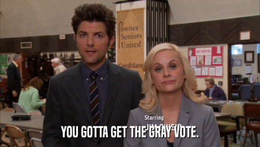 YOU GOTTA GET THE GRAY VOTE.  